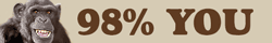 primates are 98% you